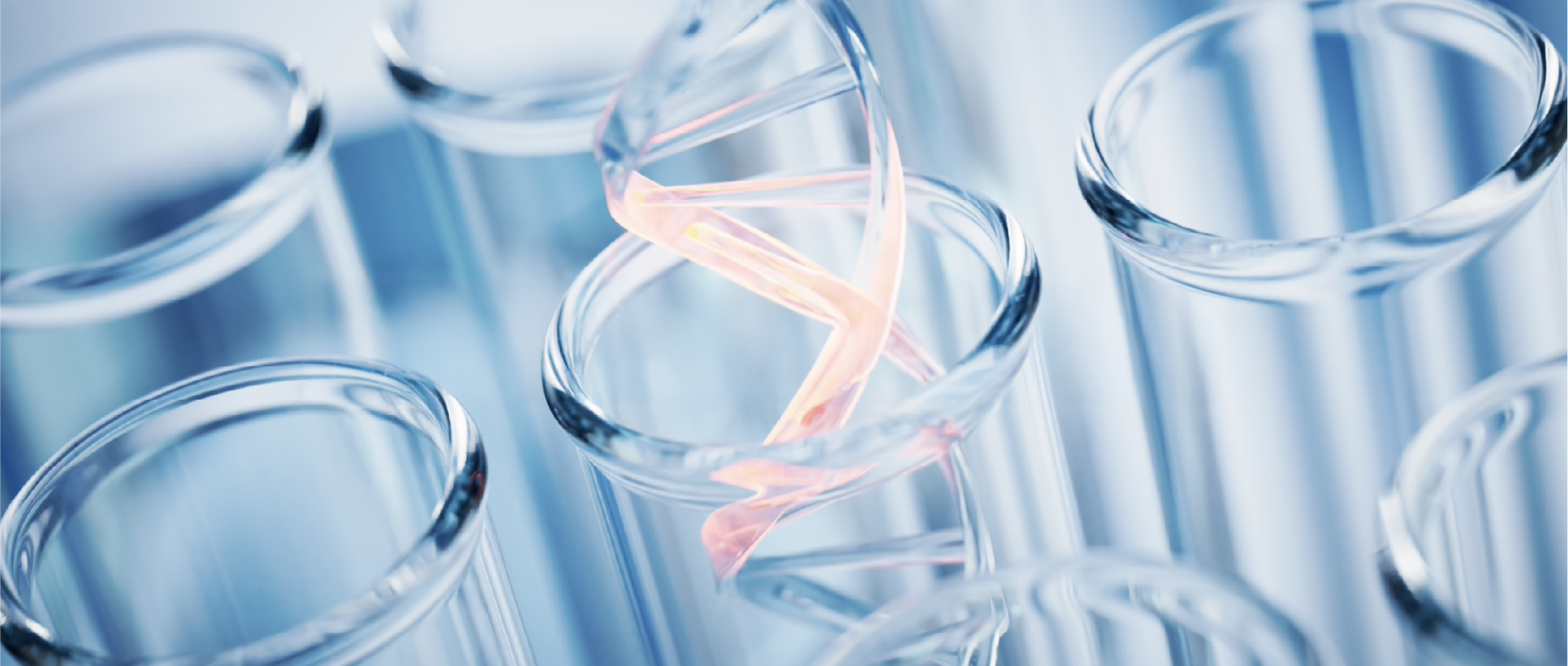 Laboratory glassware containing a pink sample
